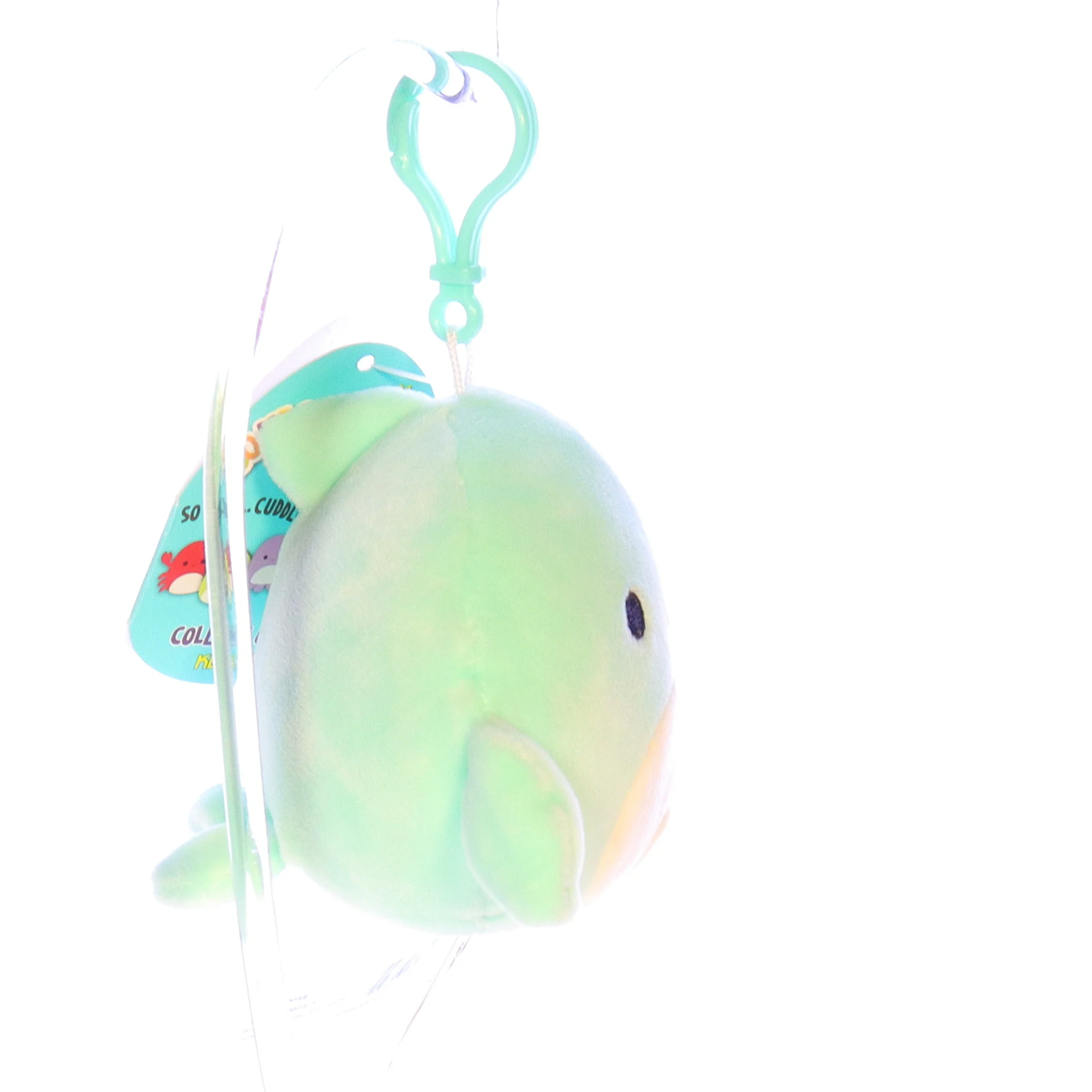 Thumbnail 7