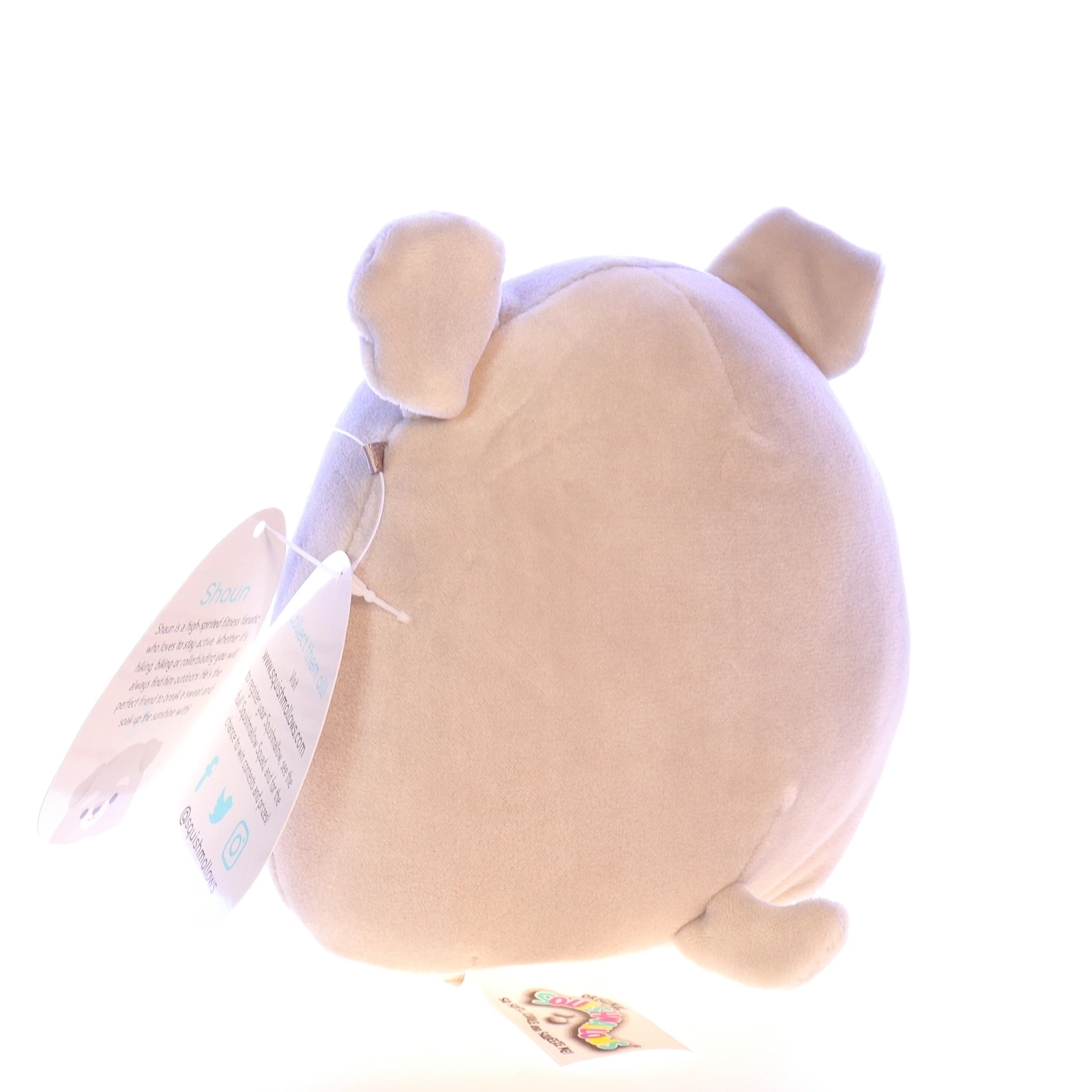 Thumbnail 4